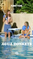 Водные ослы/Agua Donkeys