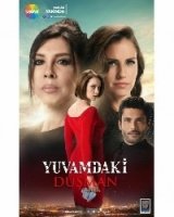 Враг в моем доме/Yuvamdaki Düşman