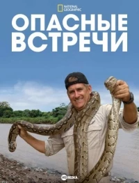 Опасные встречи/Dangerous Encounters