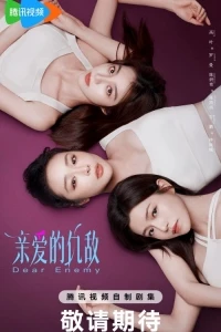 Дорогой враг (Китай)/Qin Ai De Chou Di