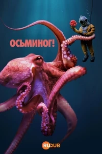 Осьминог!/Octopus!