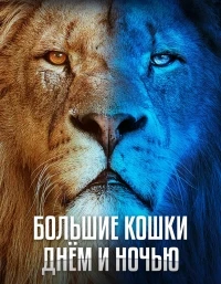 Большие кошки днем и ночью/Big Cats 24/7 2 сезон