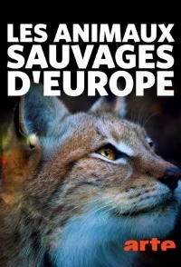 В европейской глуши/Wildnis Europa